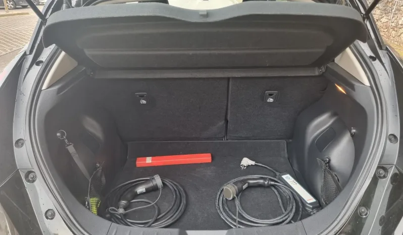 
								Nissan Leaf full									