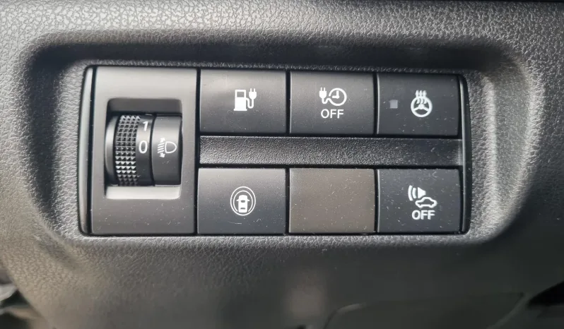 
								Nissan Leaf full									